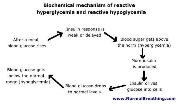 Insulin response for abnormal blood sugar control after meals: reactive hyperglycemia with reactive hypoglycemia