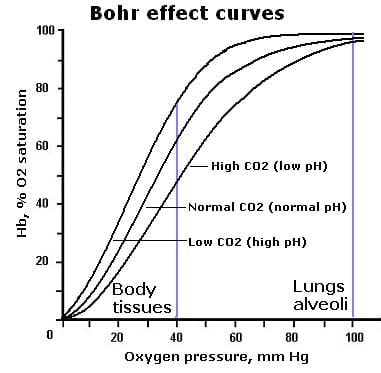 Bohr effect curves
