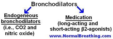 Bronchodilators chart