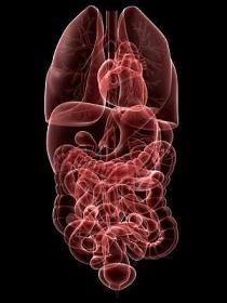 Constant inflammation of body parts