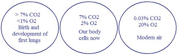 CO2 and oxygen: Evolution of air composition on Earth