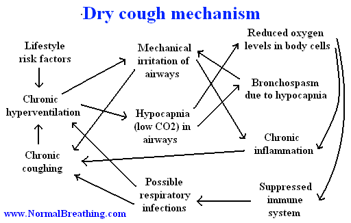 Dry cough mechanism (chart)