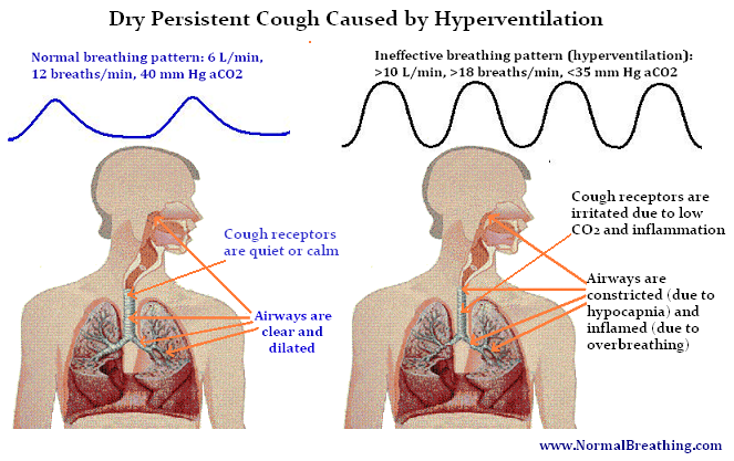 Mechanism of dry cough caused by hyperventilation