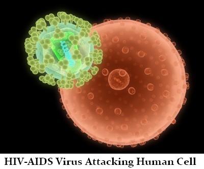 HIV-AIDS virus attacking a human cell