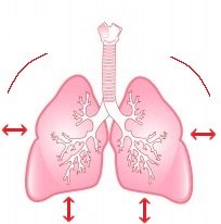 Lungs: Overbreathing Causes HIV-AIDS