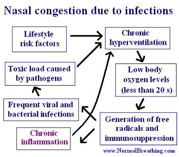 Nasal congestion mechanism