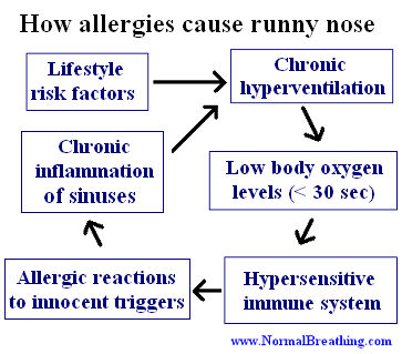 How allergies cause runny nose
