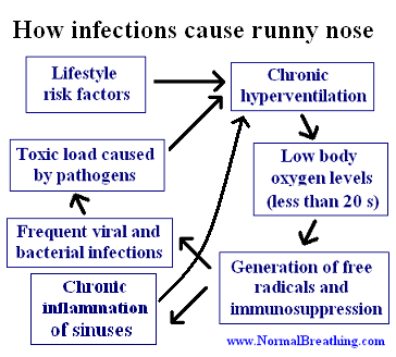 How infections cause runny nose