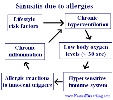 Sinusitis causes: allergies