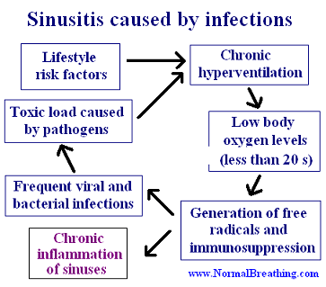 Causes of sinusitis: infections and overbreathing
