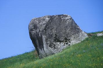 Stone in field