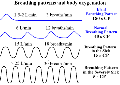 4 Types of breathing patterns