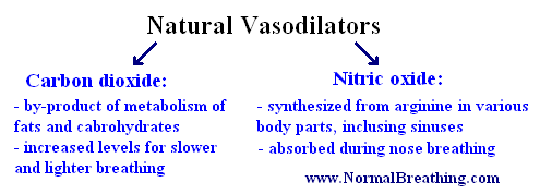 Natural vasodilators