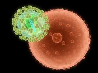 Virus attacking human cell