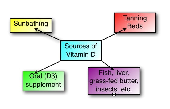 Sources of Vitamin D or D3 in food and lifestyle D3 or Cholecalciferol