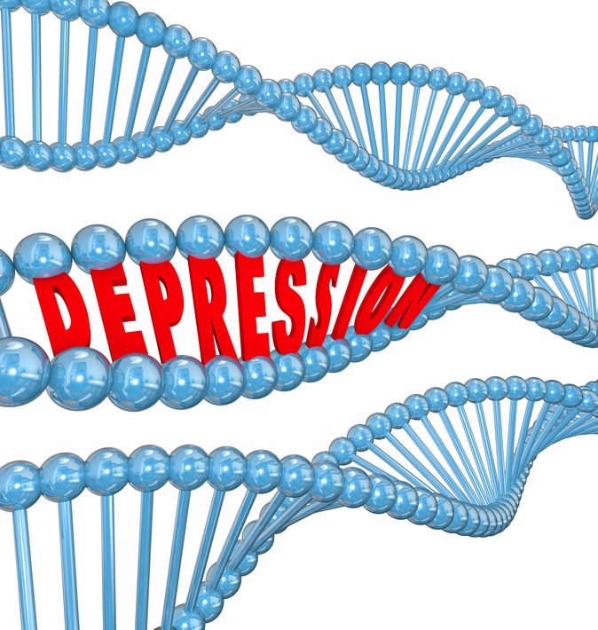 cell hypoxia gene expression 