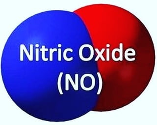 Role of Nitric Oxide in Health (Buteyko Method and Breathing Retraiing)